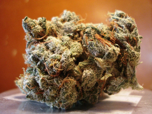 Jack Herer, Grade AA+